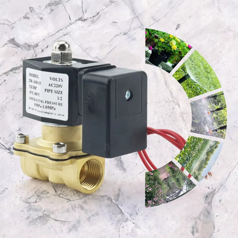 AC220V Tuya WiFi Smart Solenoi - đánh giá và giá Smart Garden Instructions