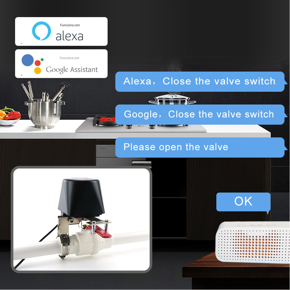 Tuya Zigbee Smart Gas Valve WI - đánh giá và giá Smart Garden Instructions