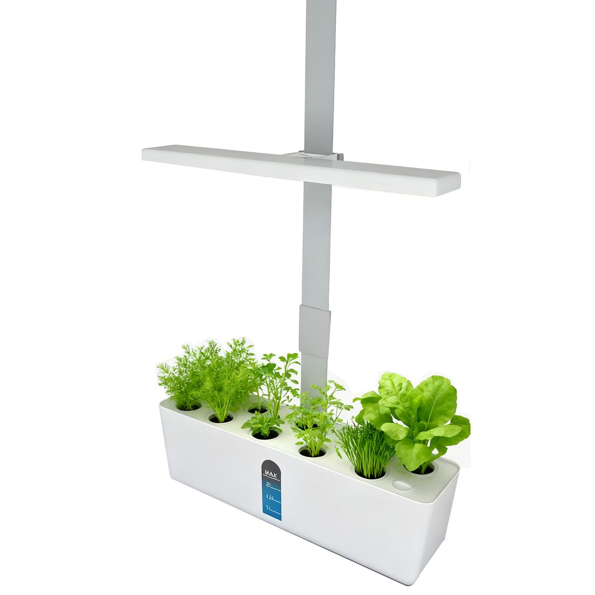 Smart Hydroponics Growing Syst - đánh giá và giá Smart Garden Domes