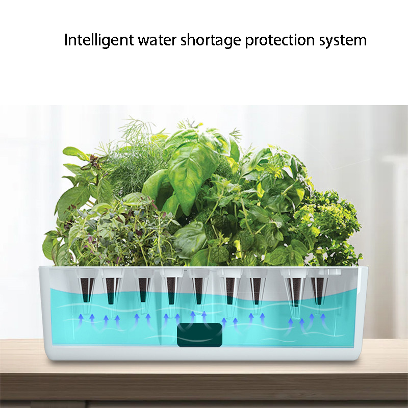 Smart Hydroponics Growing Syst - đánh giá và giá Smart Garden Domes