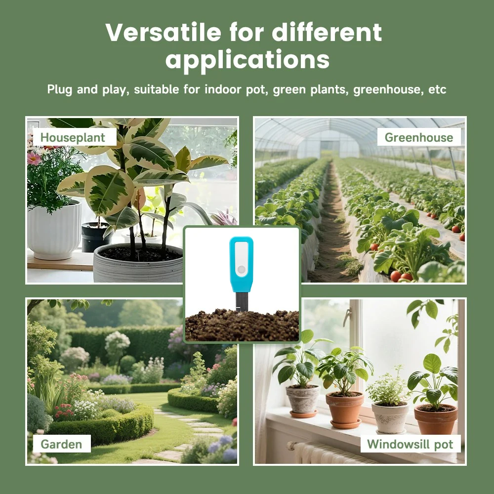 Smart Soil Tester Sensor BT Tu - đánh giá và giá Smart Garden Domes