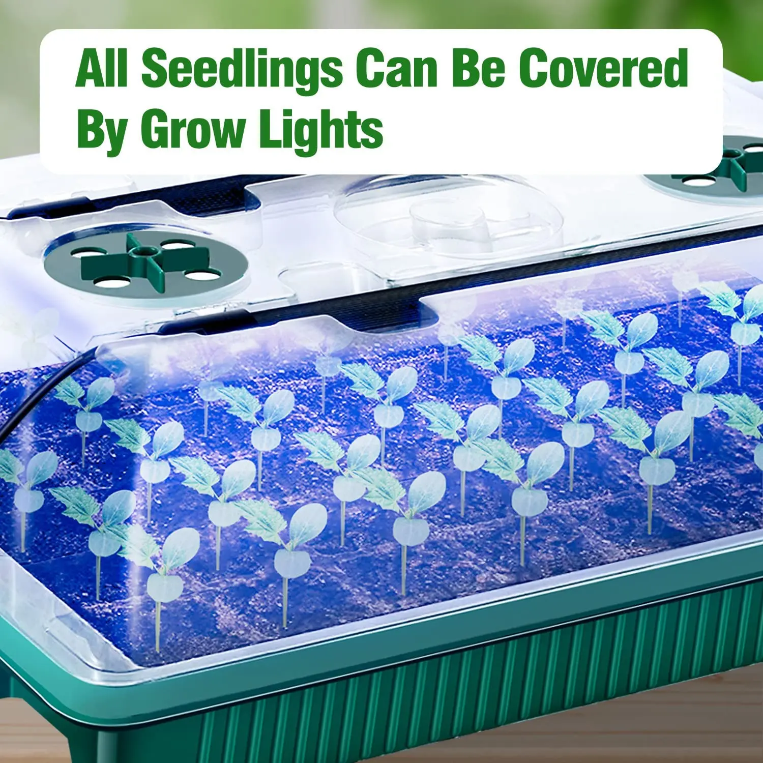 2 Packs, Seed Starter Trays Wi - đánh giá và giá Smart Garden Domes