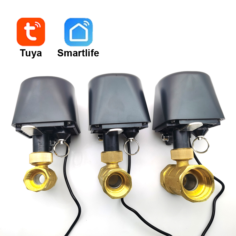 Tuya WiFi or Zigbee Water Valv - đánh giá và giá Wifi Irrigation Timer